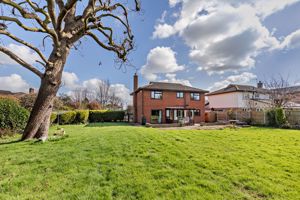 Photo 2- click for photo gallery